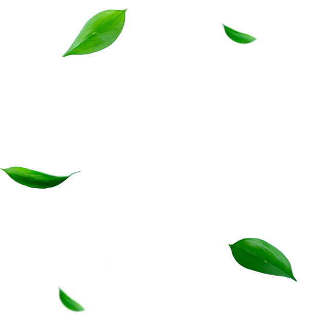 Logo usiamo Energia 100% rinnovabile certificata da GSE