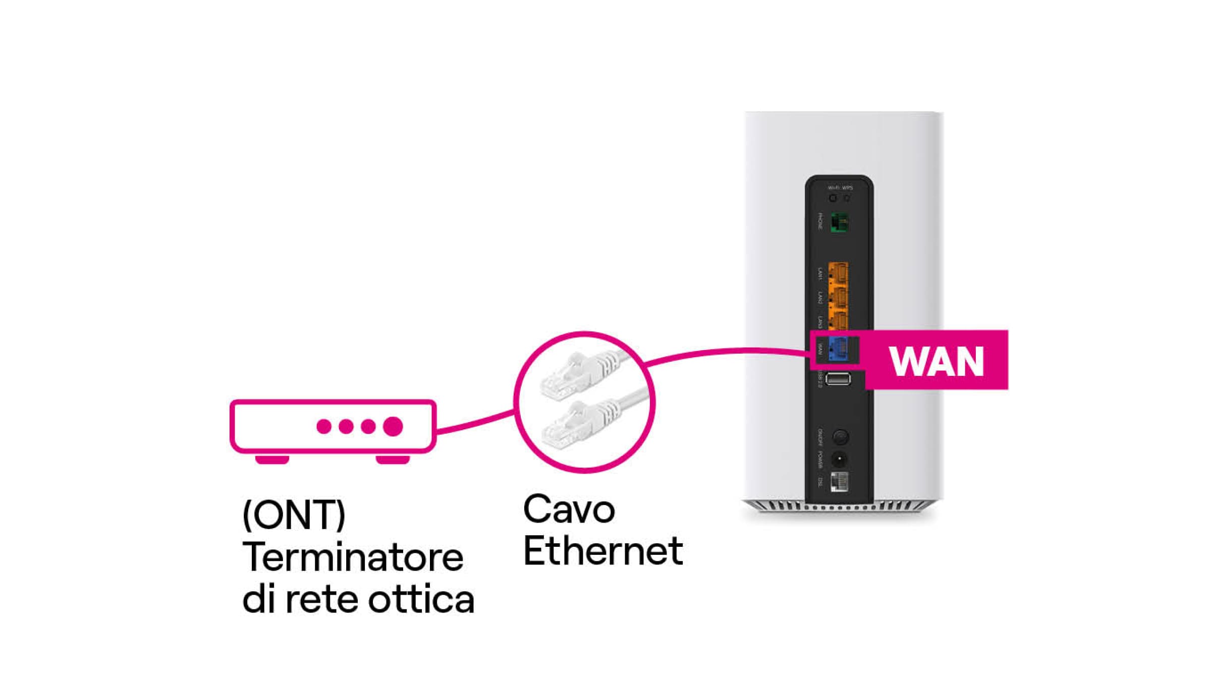 Immagine che mostra il cavo Ethernet, con evidenziate le due estremità da collegare: una alla porta WAN del modem e l’altra all’ONT (Terminatore di rete ottica).