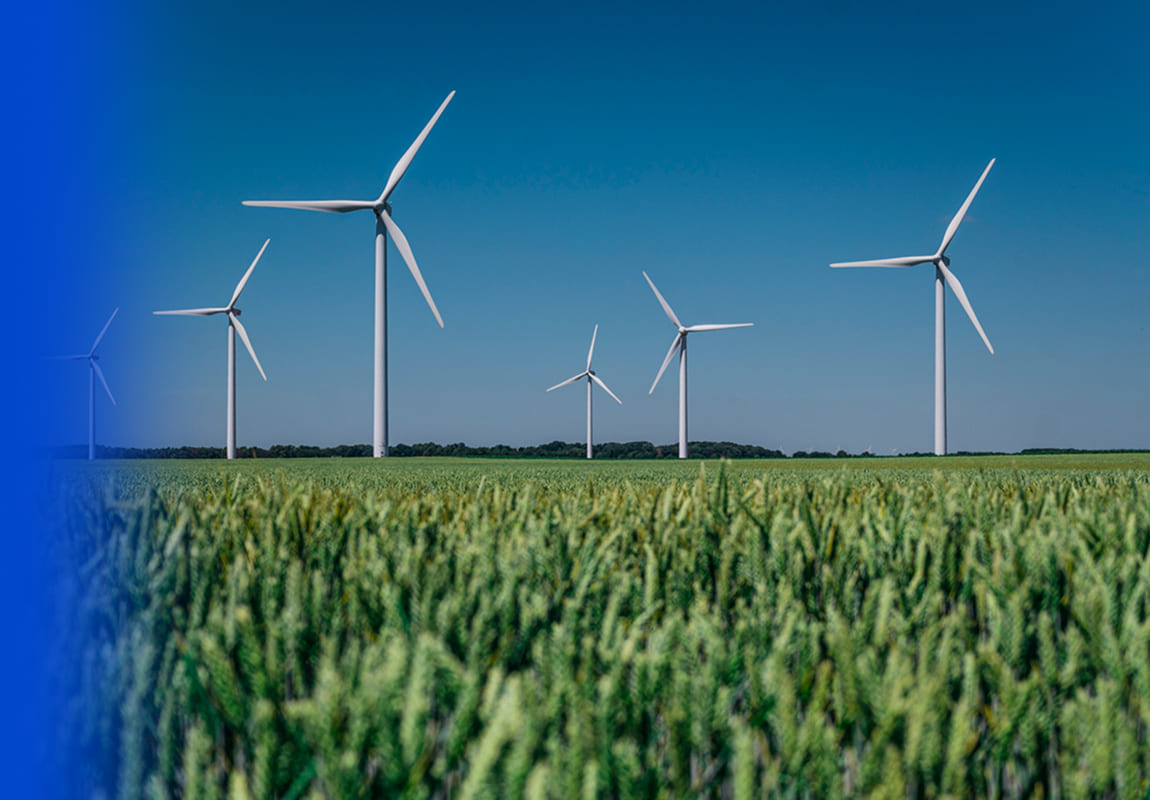 parco eolico situato in un campo di grano