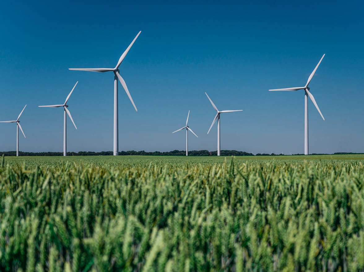 parco eolico situato in un campo di grano