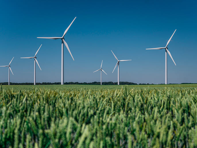 parco eolico situato in un campo di grano