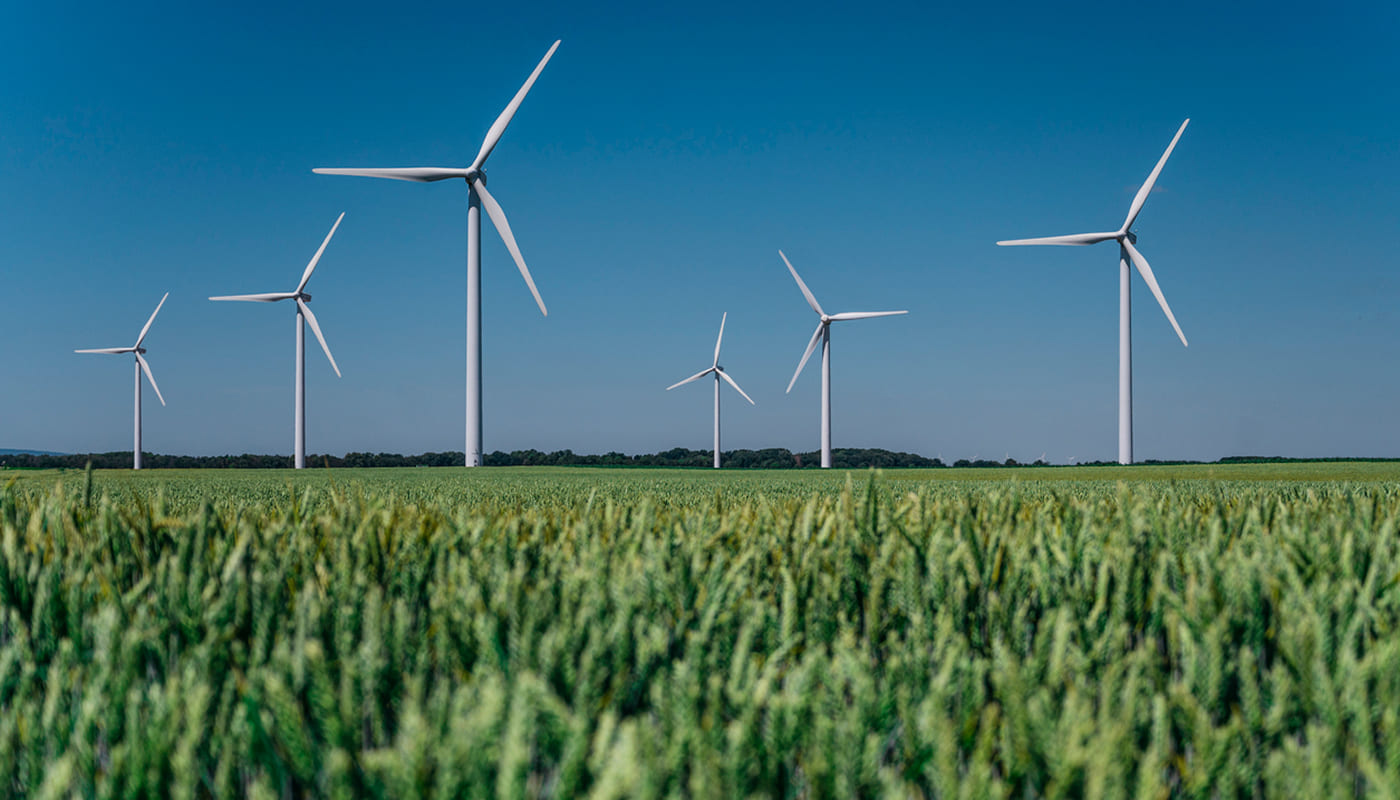 parco eolico situato in un campo di grano
