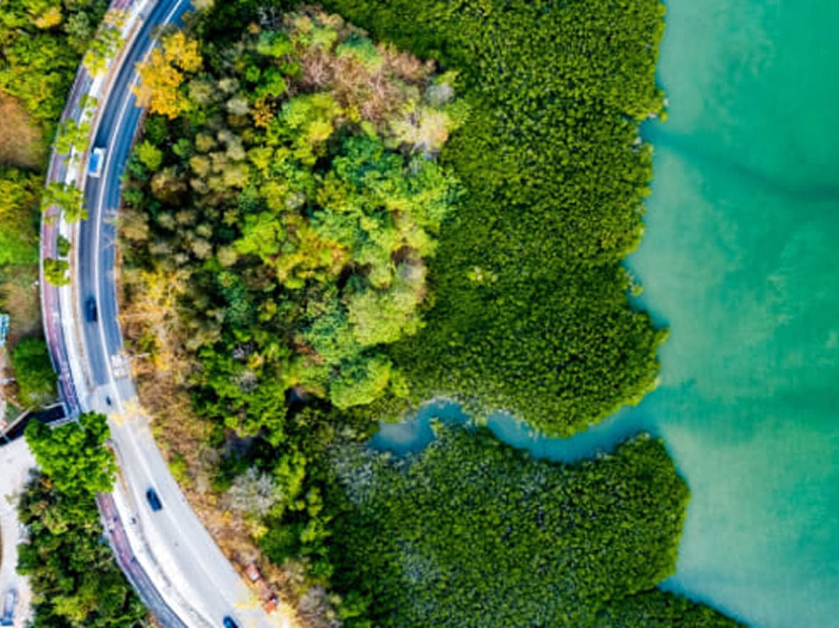 scenario pittoresco che combina montagne, vegetazione lussureggiante e acque costiere