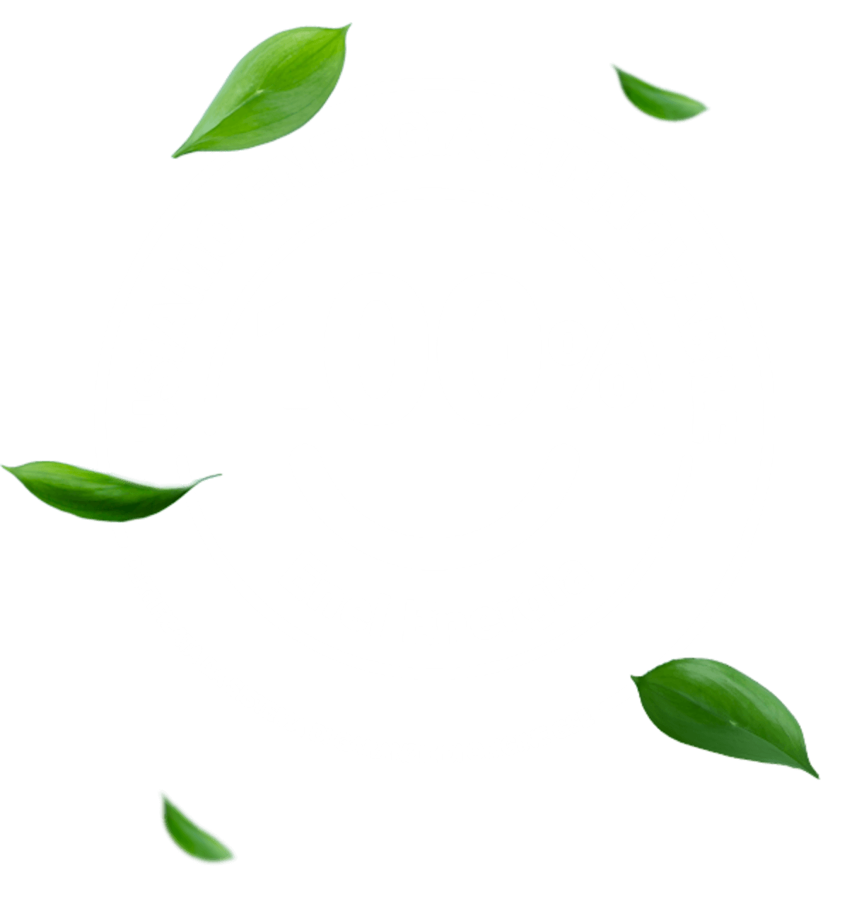 Logo usiamo Energia 100% rinnovabile certificata da GSE