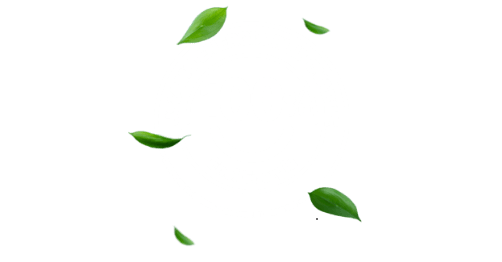 Logo we use 100% renewable energy certified by GSE