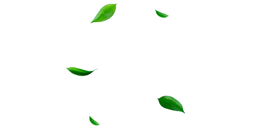 Logo we use 100% renewable energy certified by GSE
